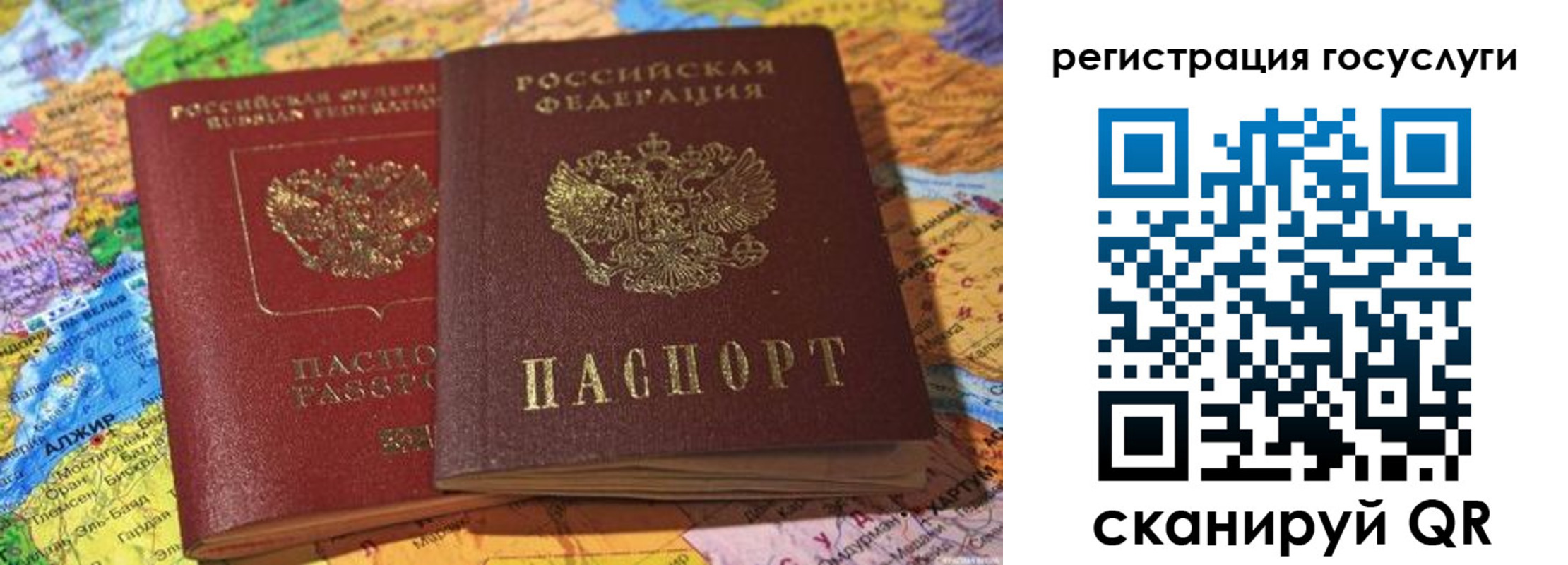 прописка поиск в Электрогорске